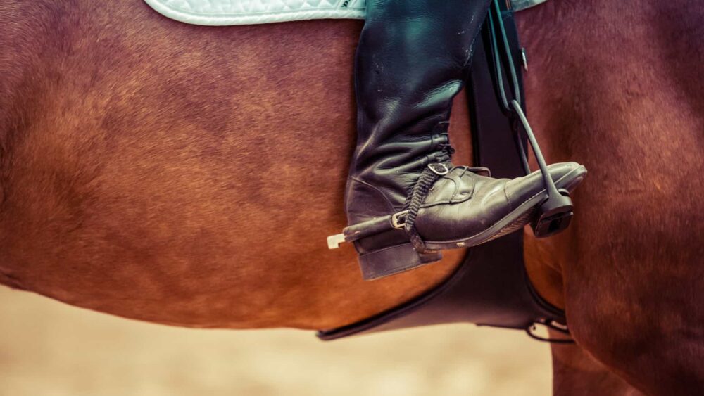 Powożenie – na czym polega ta konkurencja i jakie kategorie do niej należą?