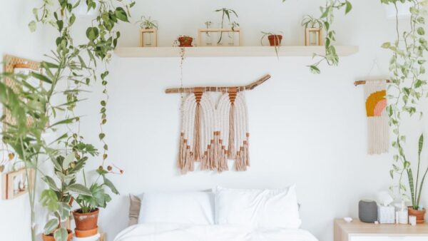 Zielona sypialnia, czyli jakie rośliny wybrać do sypialni