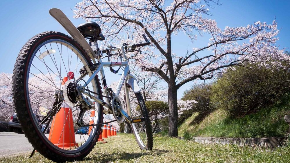 Jak przygotować się do sezonu rowerowego?